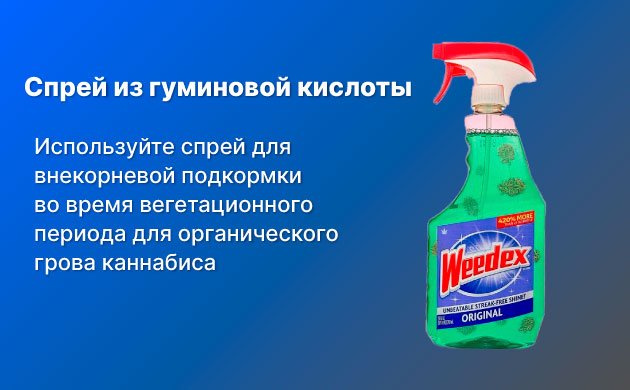 Как использовать гуминовую и фульвовую кислоты при выращивании конопли