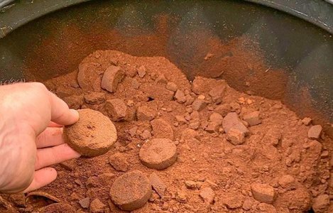 Кофейная гуща – эффективное натуральное удобрение для конопли