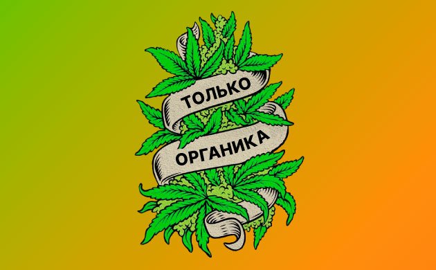 Основы выращивания органической марихуаны