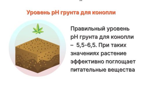 Неблагоприятный уровень pH субстрата или грунта для конопли