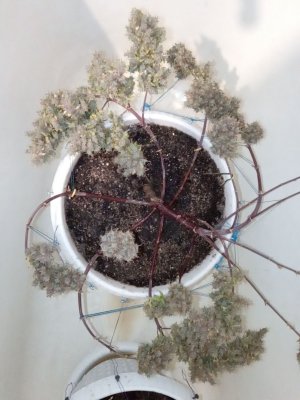 mir_20221015_160657.jpg
