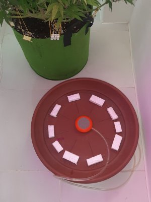 20221026_090839.jpg