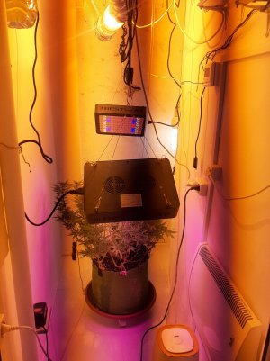 20221030_091718.jpg 20221030_091718.jpg