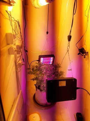 20221031_140656.jpg 20221031_140656.jpg