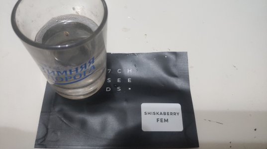 P21103-161951.jpg