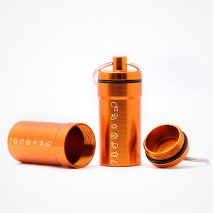 gifrt_1999_capsule.jpg