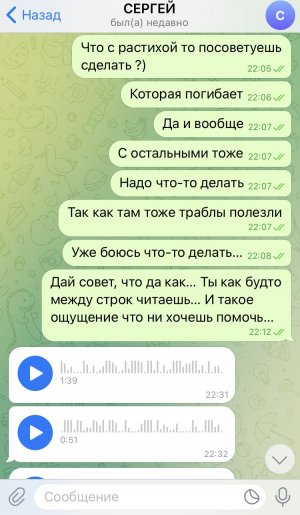 3B5172F6-A20E-4AF6-BD8C-A36DF58ED21C.jpeg