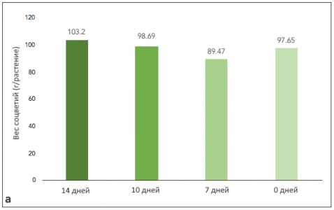 graph_a.png graph_a.png