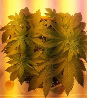 20221121_143029.jpg