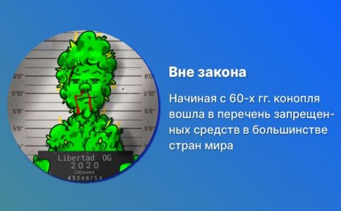 Криминализация конопли