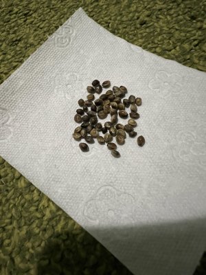 C2EECF71-0532-4E8C-84C0-D90129196A6A.jpeg
