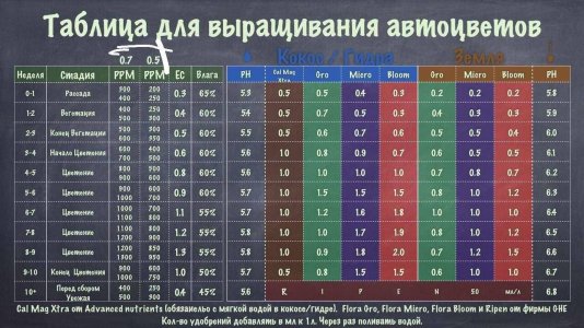 A04542F2-73F6-433F-B053-743B69EAC611.jpeg