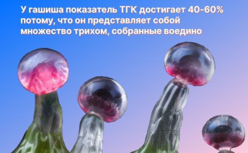 Эффект гашиша