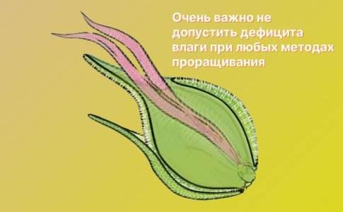 Вода