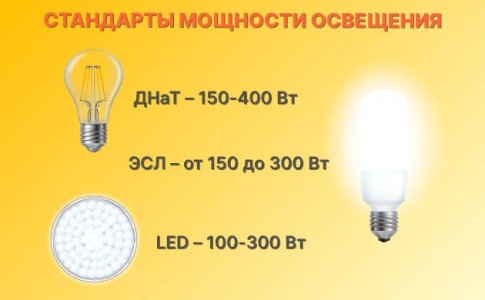 Освещение конопли в закрытом грунте