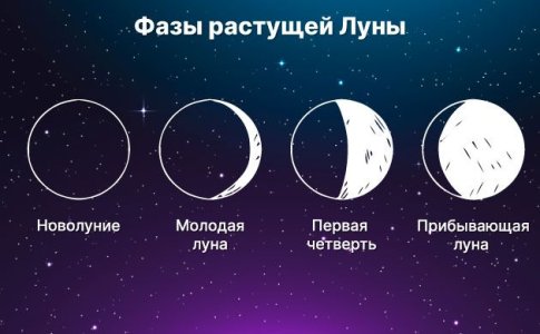 Фазы Луны и выращивание конопли