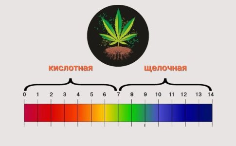 pH для конопли pH для конопли