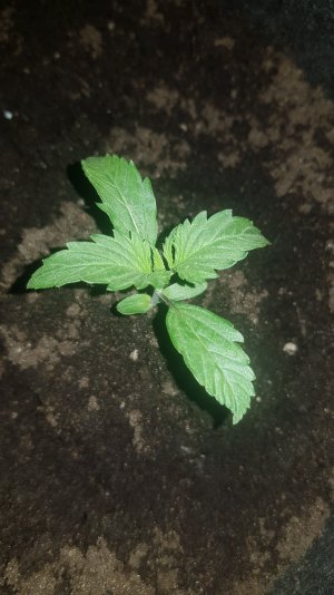 20230121_125928.jpg