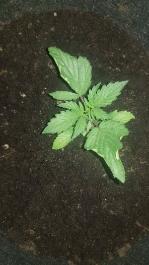 20230124_220331.jpg