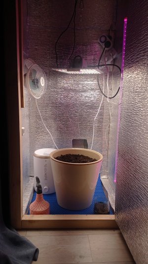 IMG_2023_02_15_12_29_46_0128788056568696779991.jpg