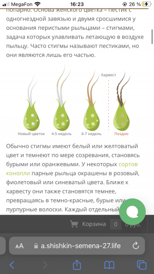 2A448536-FE6B-4329-8E66-3D85C9C97596.png