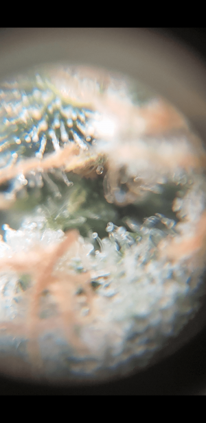 S30311-103643.png