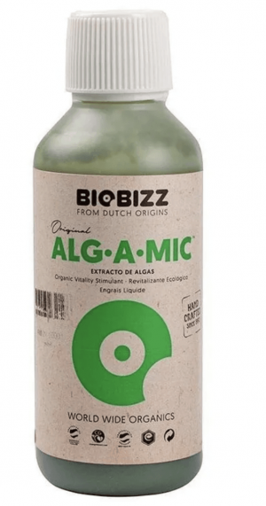 ALG-A-MIC.png