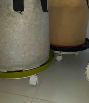 20230413_185958.jpg