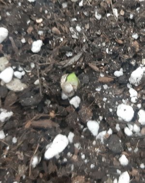 20230413_191350.jpg