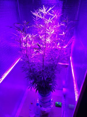 20230414_110046.jpg