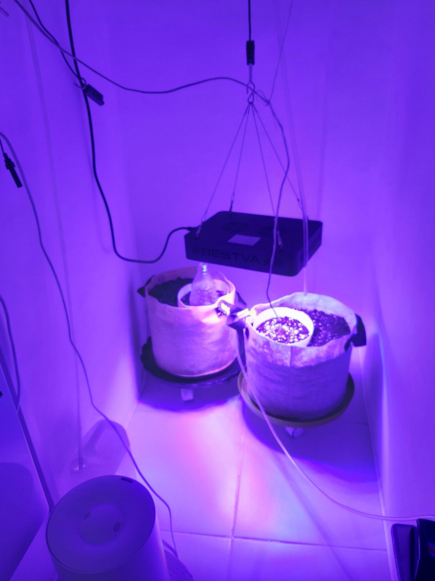 20230414_182238.jpg