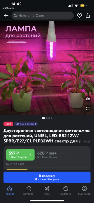 IMG_1865.png