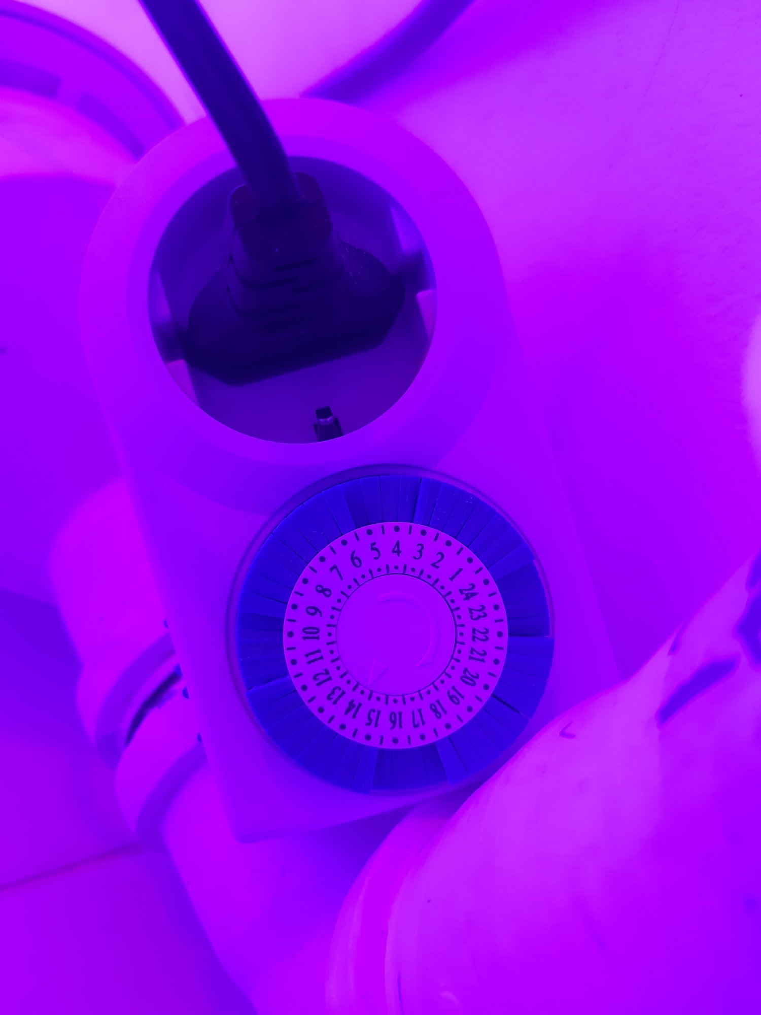 20230415_164754.jpg