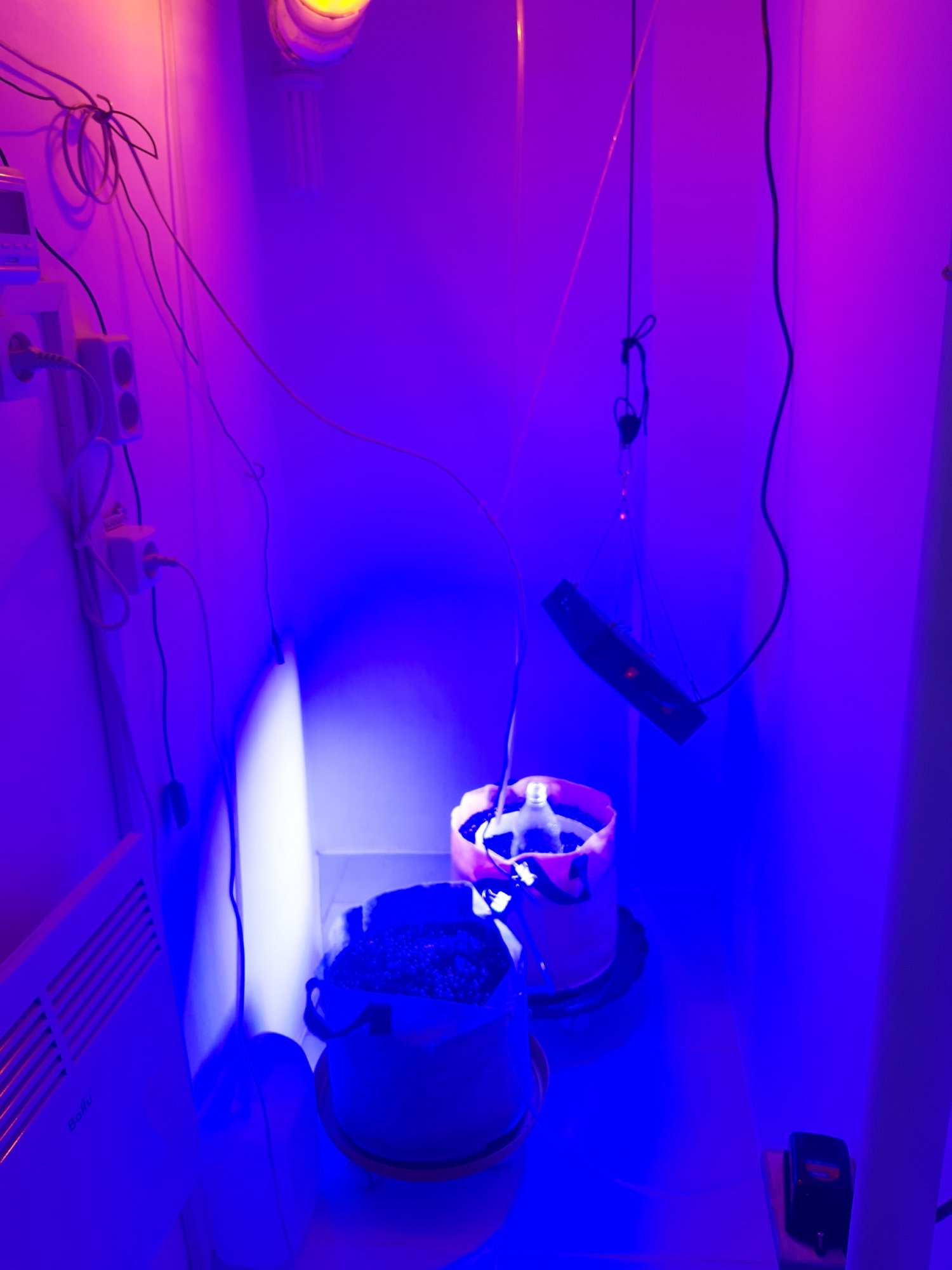 20230415_164734.jpg