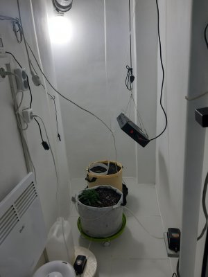 20230416_081750.jpg