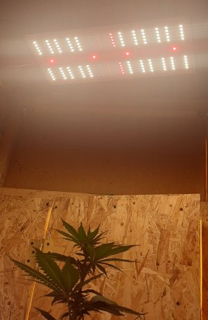 20211105_161943.jpg