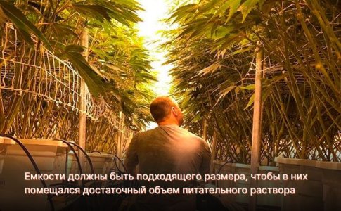 Емкость для гидропонного раствора Емкость для гидропонного раствора