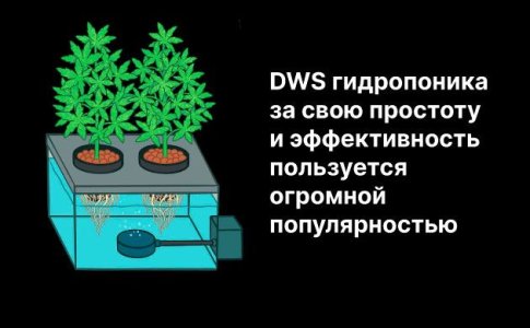 Циркуляционное оборудование для гидропоники Циркуляционное оборудование для гидропоники