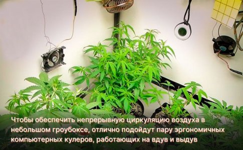 Воздух и вода для конопли Воздух и вода для конопли