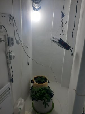 20230417_173218.jpg