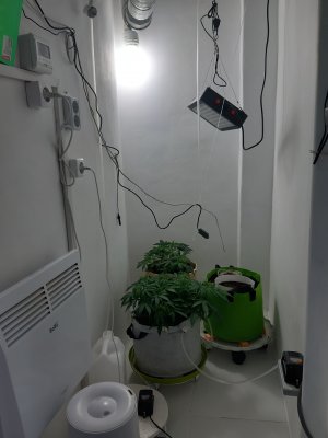 20230417_205223.jpg