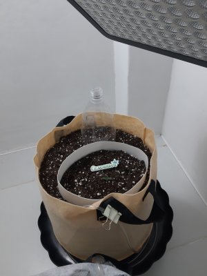 20230428_203034.jpg 20230428_203034.jpg