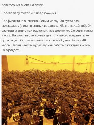 IMG_4927.jpeg