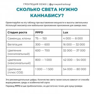 46687f3477739b325e8fb.jpg