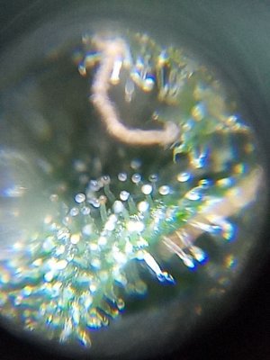 mir_20230531_100007.jpg
