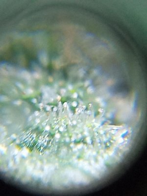 mir_20230531_095453.jpg