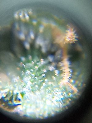 mir_20230531_095835.jpg