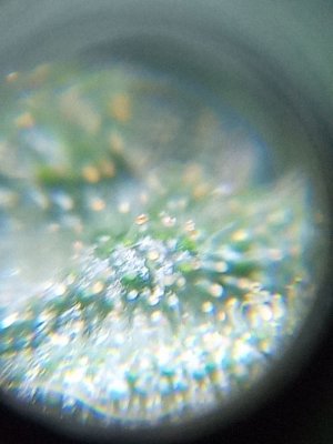 mir_20230531_095820.jpg