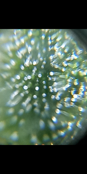 Screenshot_20230602-183814.png