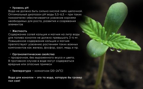 IMG_20230629_165521_855.jpg